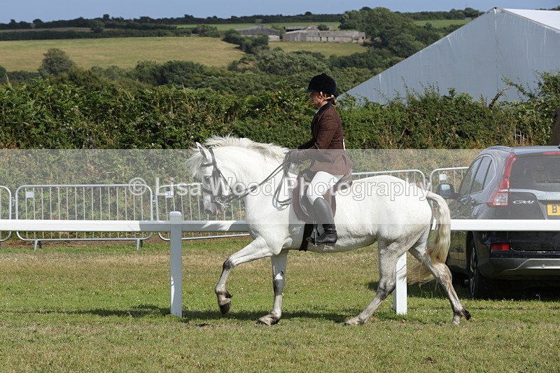 1X9A5876 - Class 41:. NPS New Forest & Connemara