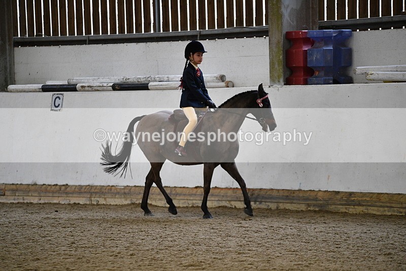 WJ5_6528 - Class 10 Childs Pony