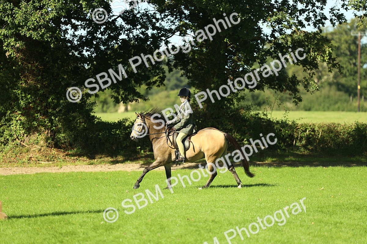 SBM_36501 - S29 - Novice & Newcomers Working Hunter Pony
