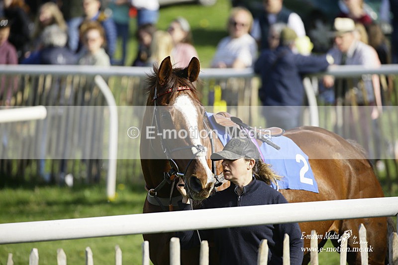 PtP 180422 311 - Old Berkshire PtP Lockinge 18/04/22