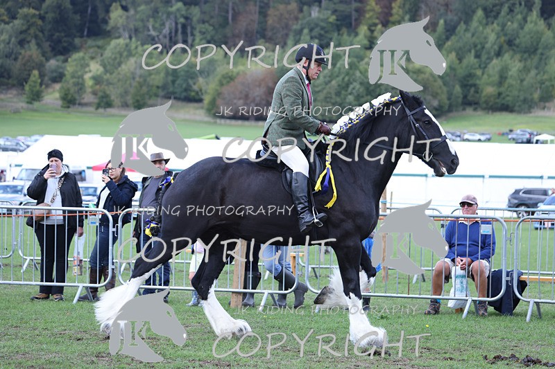 APP_3629 - Class 8 Ridden Class