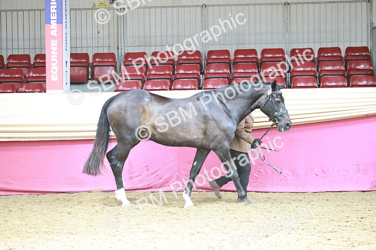 SBM_04713 - Class 7R - Regional IH Diamond