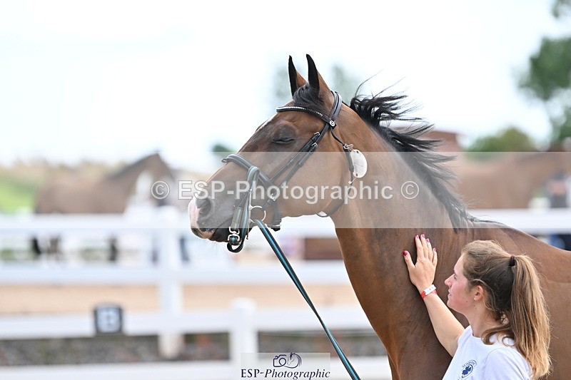 240717A-142800-02072 - Trot Up 2pm to 3pm - This folder is not in time order