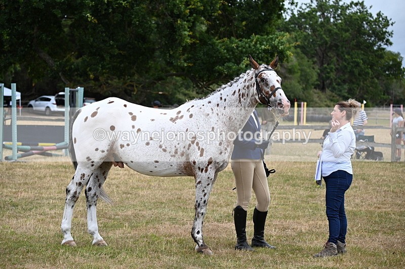 WJ6_4262 - Class 10 Coloured In-hand