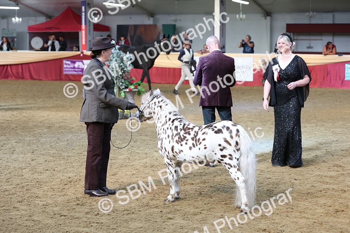 SBM_22507 - Class 902 - Supreme Final - IH Diamond