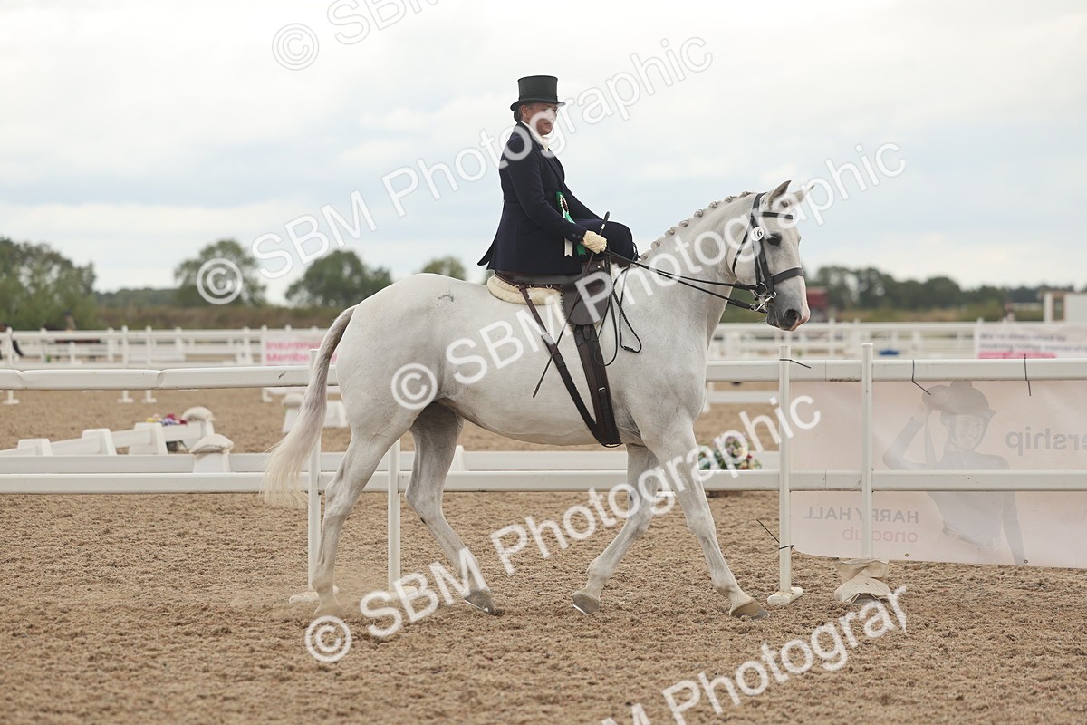 SBM_06312 - Class 23 - SSA - Classical