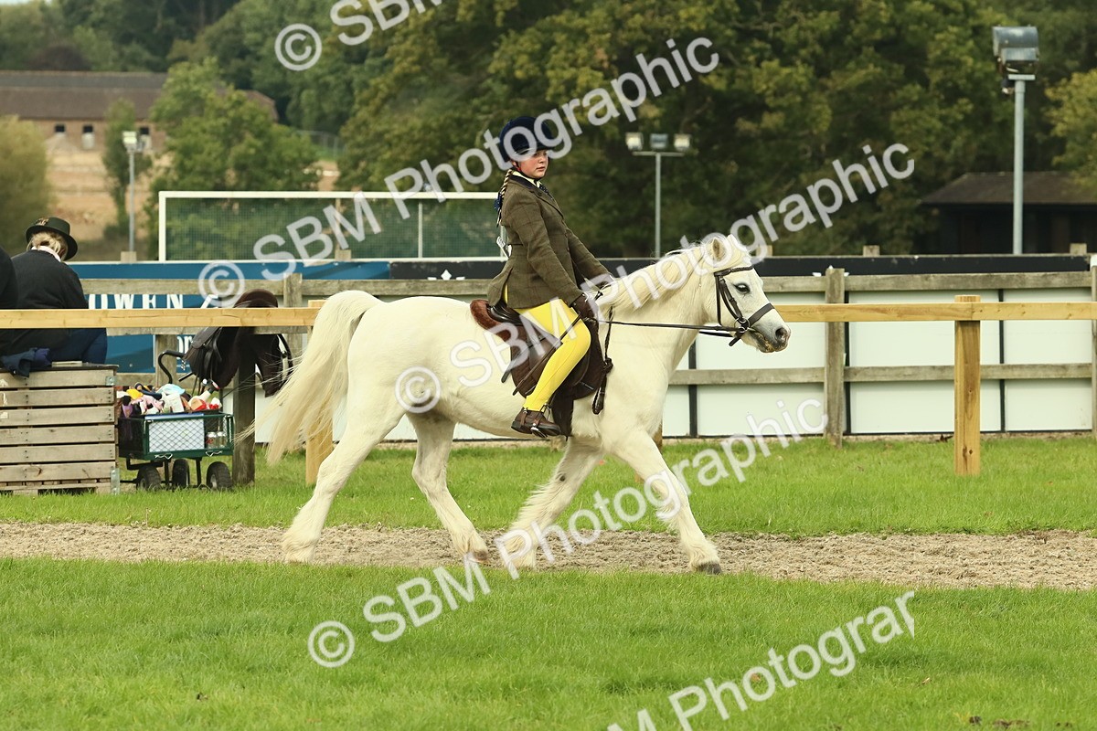 SBM_69905 - S59 - Mountain & Moorland Ridden Small Breeds