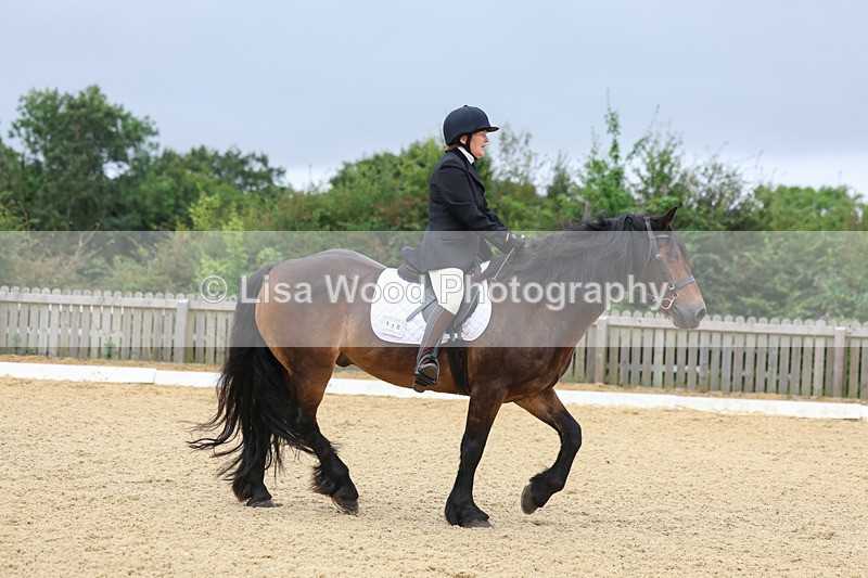 3E7A4703 - Class 1: Intro 4 2024 section A