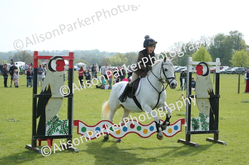 20260426-1545 - Class 14 - Novice 60cm