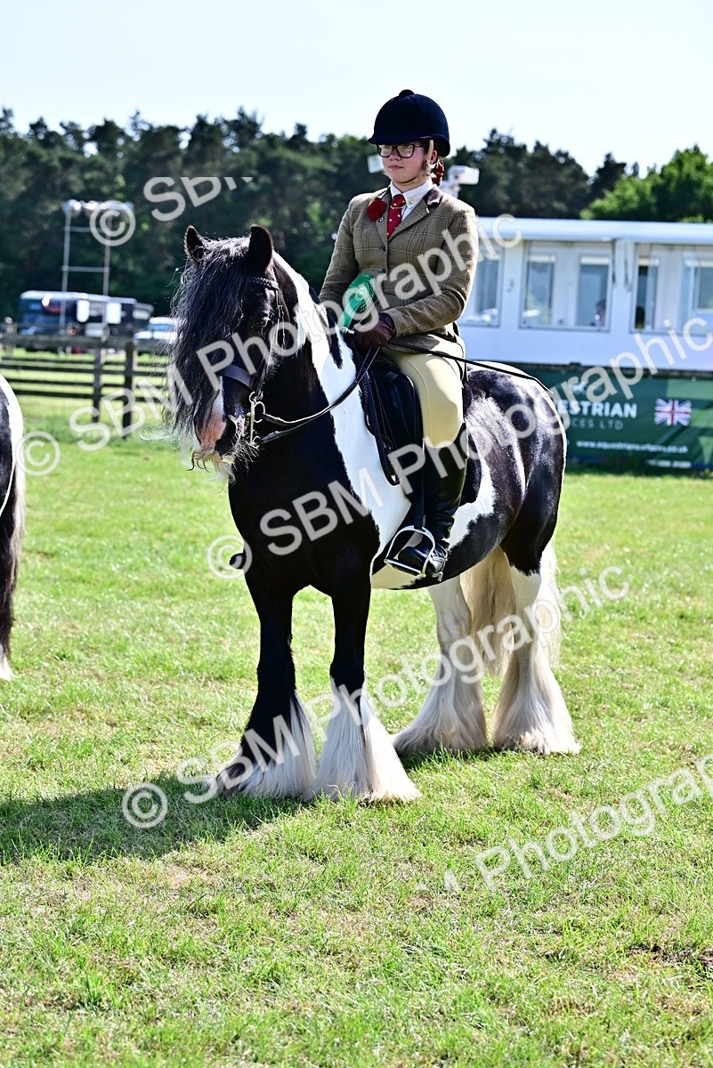 SBM_09437 - Class 63-65 - Traditional Gypsy Cobs In Hand & Ridden