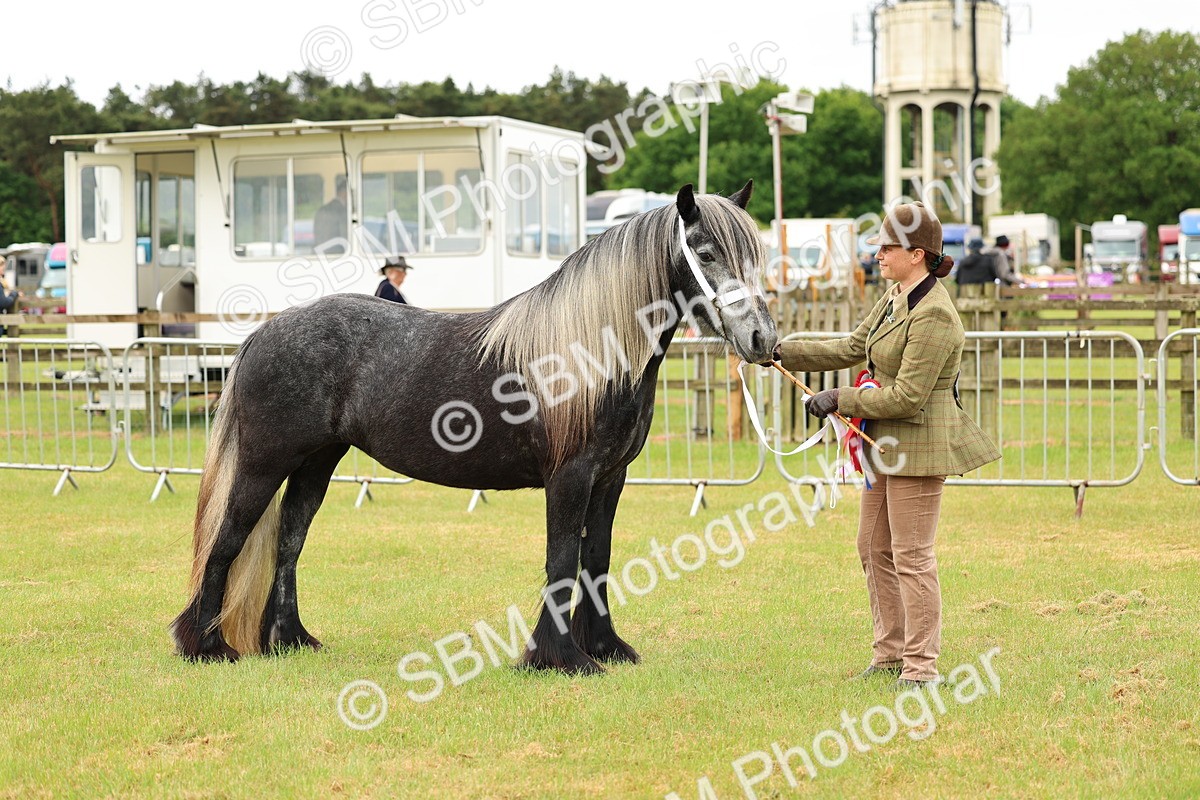 SBM_00623 - Class 58-67 - M&M Non Welsh Pony In hand