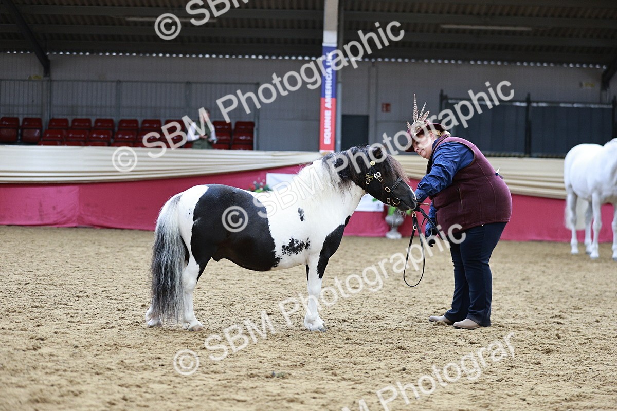 SBM_01270 - Class 3A - Area IH Pre-Vet