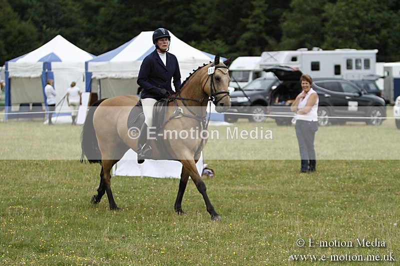 BVR160717-956 - Ring 3 BVRC Show 16/07/17