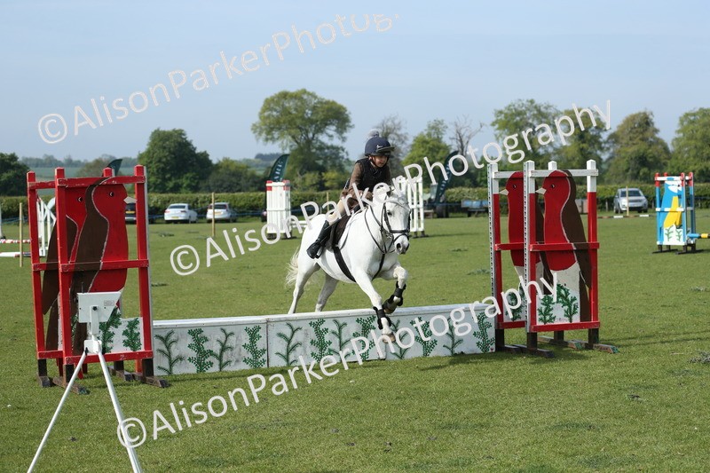 20260426-0219 - Class 13 - Rookie Jumping 50cm