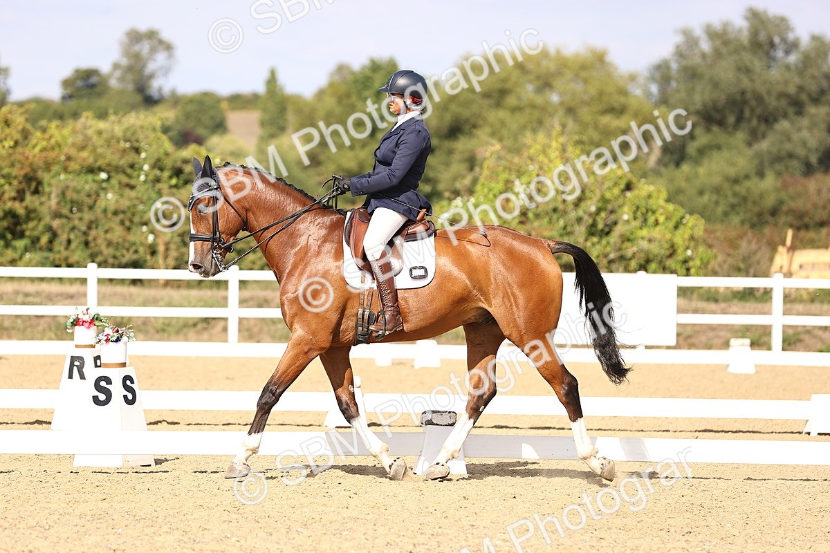 SBM_015211 - Class 8 - Medium 5