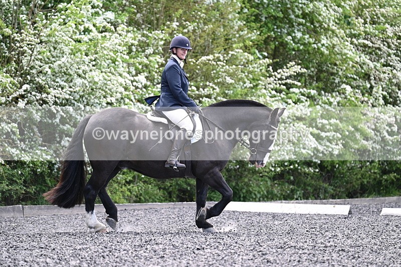 WJ7_9012 - Time 11:32 to 11:54