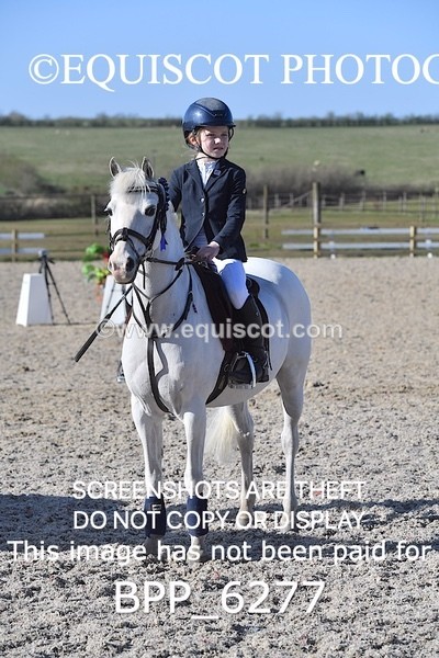 BPP_6277 - CLASS 8 SAT Pony BritiNovice / 0.80m Open