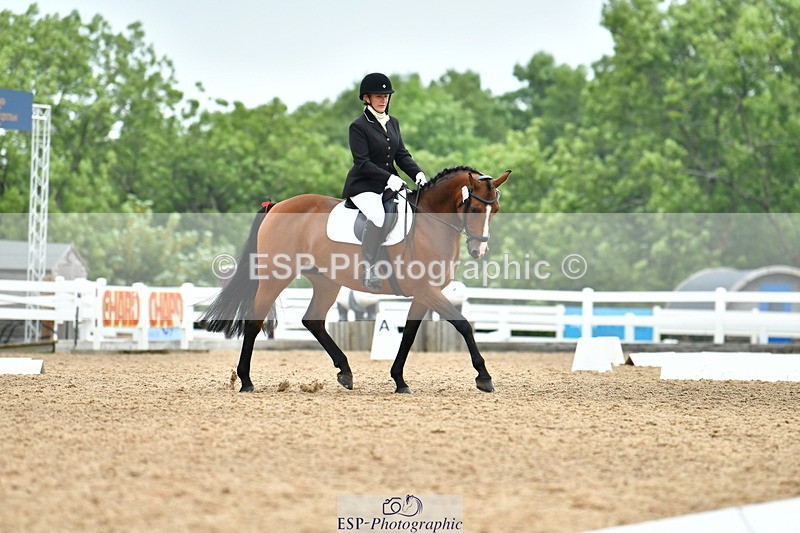 230708A-111826-02541 - Prelim 13