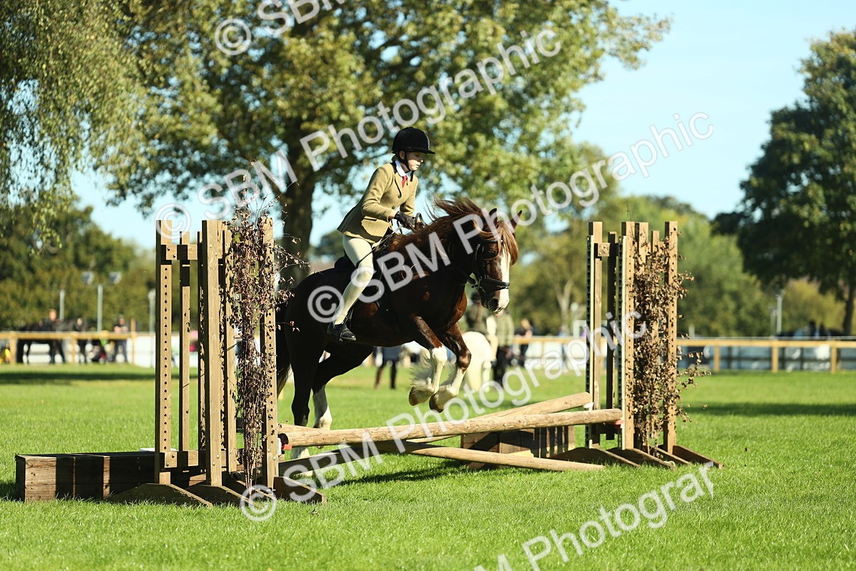 SBM_37544 - S29 - Novice & Newcomers Working Hunter Pony