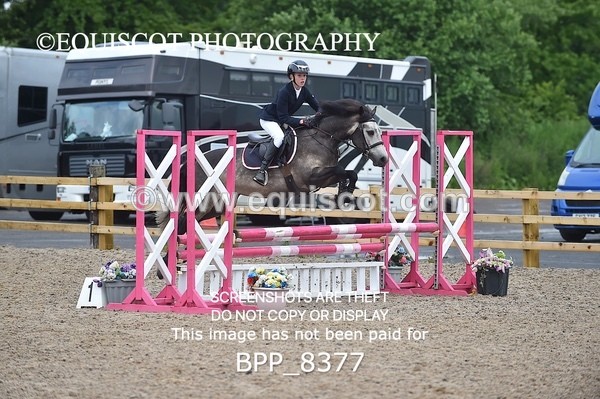 BPP_8377 - CLASS 1 British Novice / 0.80m Open