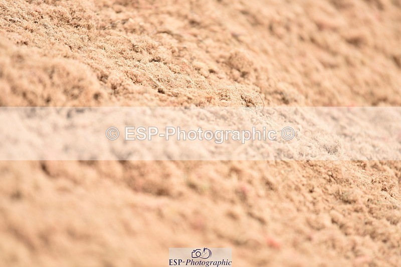 230507A-141406-08354 - Cls 48 Foxhunter