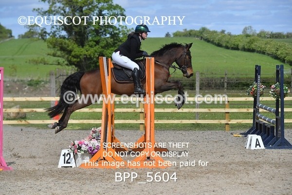 BPP_5604 - CLASS 24 SUN Senior BritiNovice/ 90cm Open