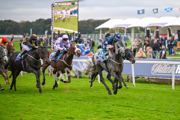 101025-Race 7-Sky Advocate-7171 - Race 7 PJ Staffing Group Apprentice Handicap at York