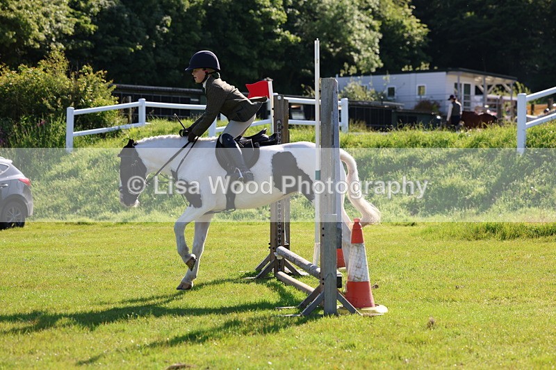3E7A5894 - Class 27: Novice Working Hunter Pony