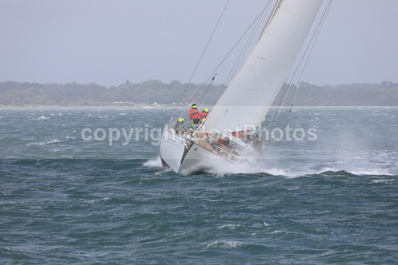  - 210808  STORMVOGEL  H700