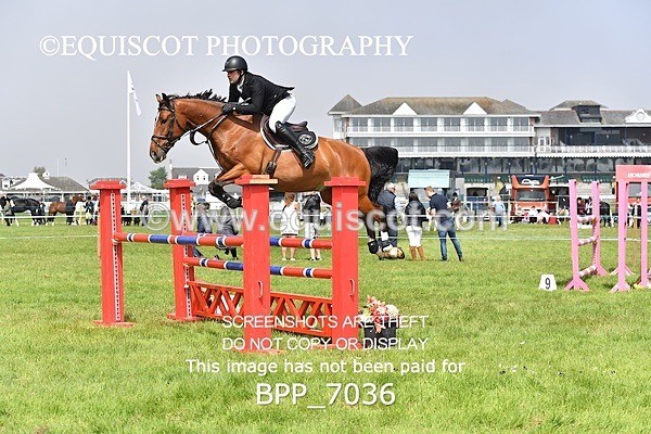 BPP_7036 - CLASS 3 RHS Fox Champ Qual (1.20m)