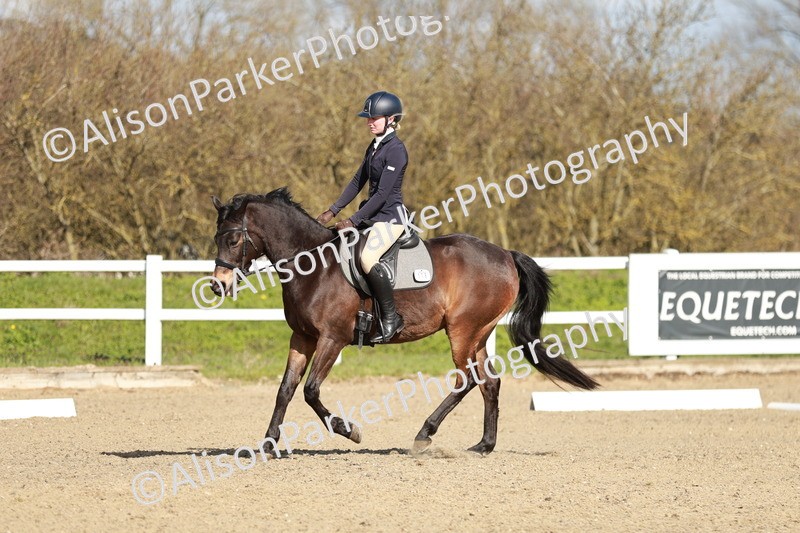 20260314-4325 - DR4 - Prelim 2