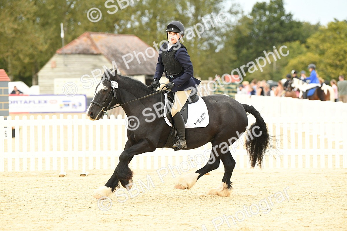 SBM_72971 - J16 - Junior Pony 75cm Championship