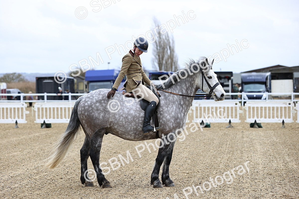 SBM_006982 - Class 29 - 30 - M&M Pure Novice Small-Large Breeds