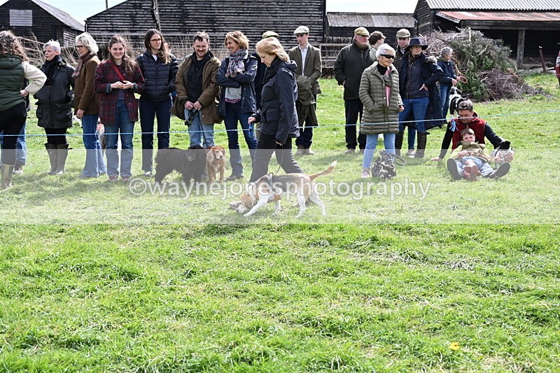 WJ6_8252 - Class 4 Prettiest Bitch