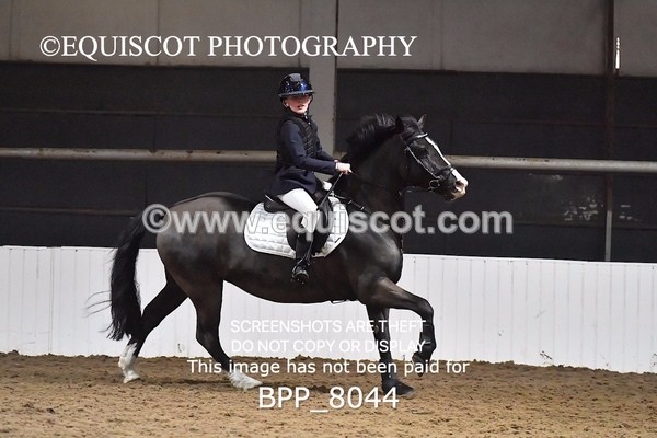 BPP_8044 - CLASS 1  Club/ Unaffiliated 60cms Open