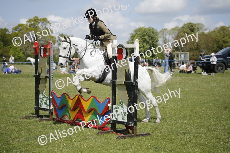 20250427-3643 - Class 14 - Absolute Novice 70cm