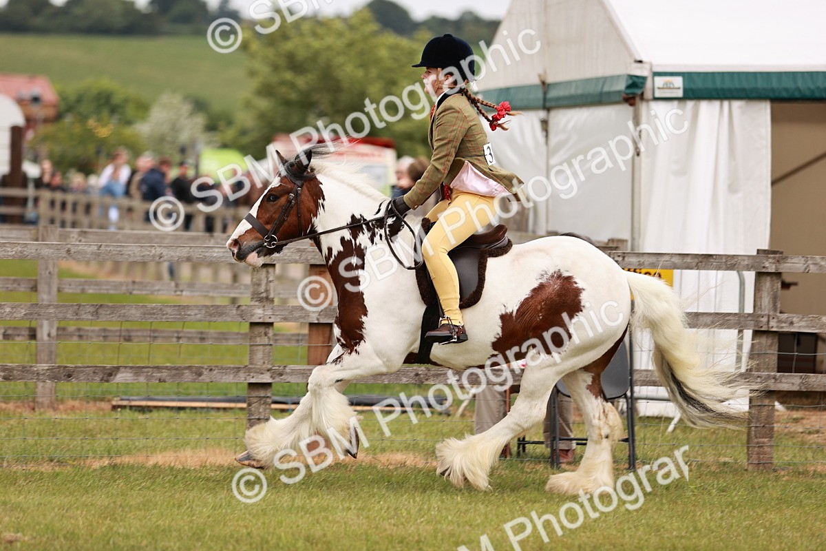 SBM_06160 - Class 39-41 TGCA In Hand and Ridden