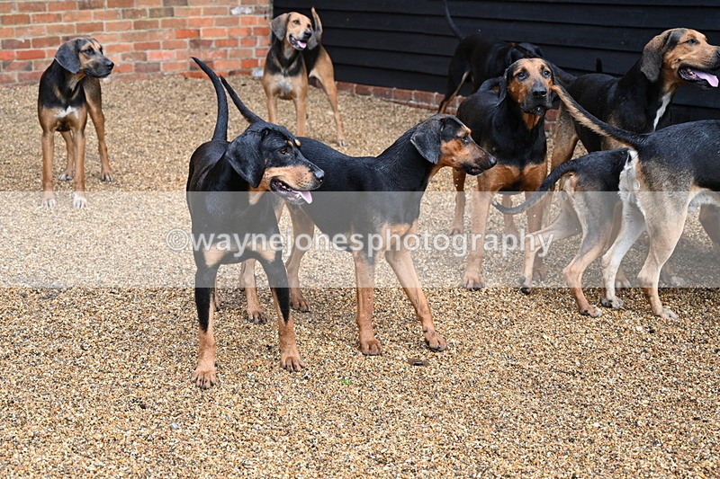 WJ7_6994 - Berks & Bucks at Blandy’s Farm 31-08-25