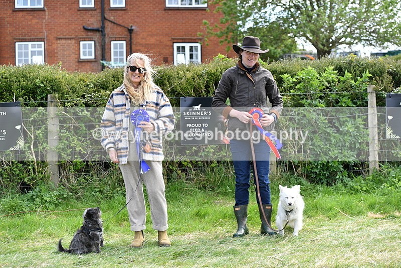 WJ5_0850 - Best in Show Championship