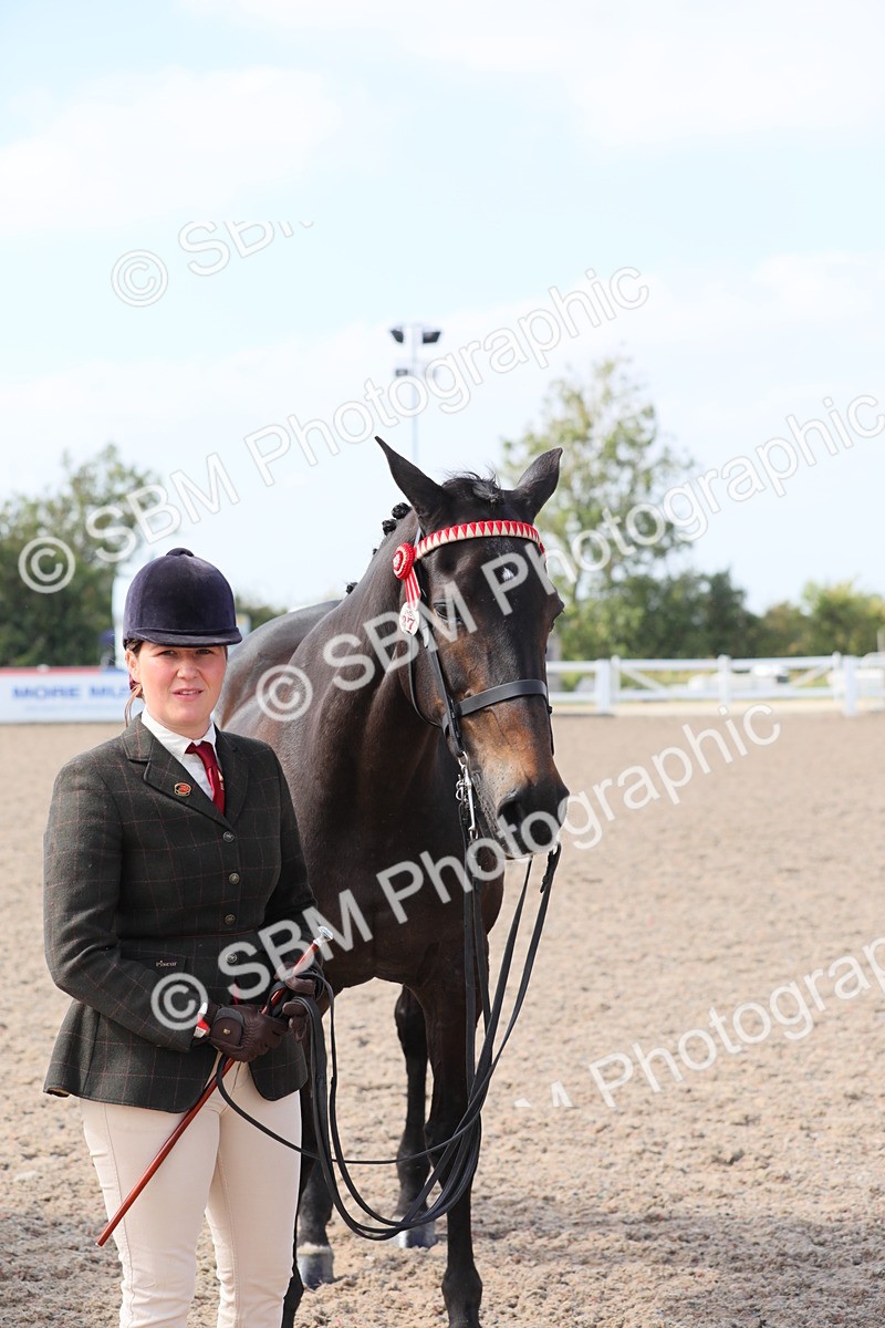 SBM_15763 - Class 312 IH Competition Horse/Pony