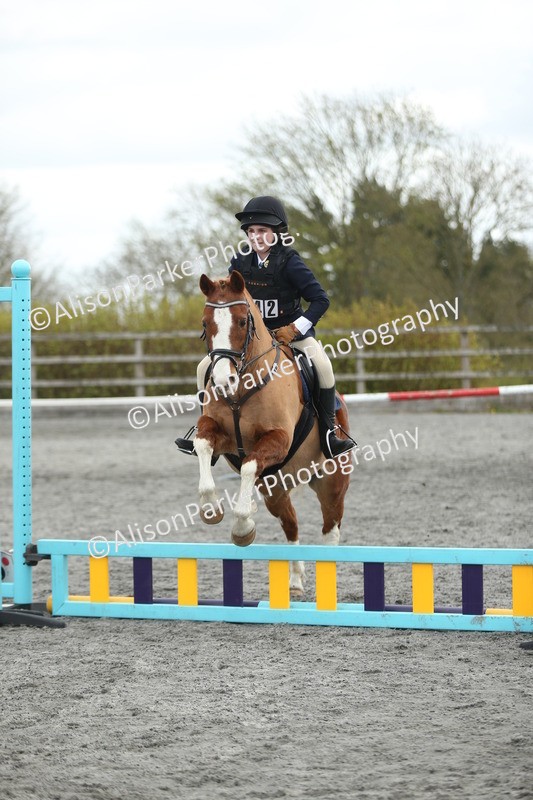 20260412-0612 - Show Jumping