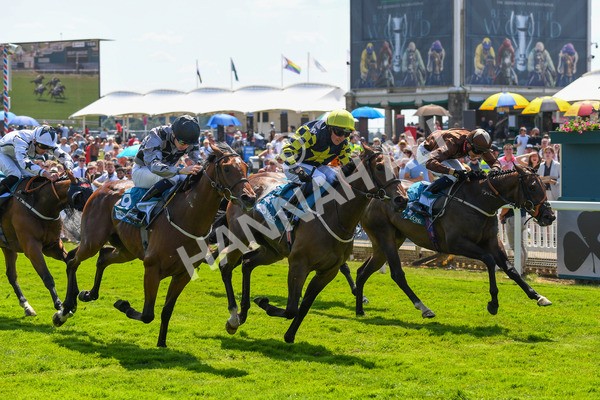 160623-Race 2-Celestial Flight-0305 - Race 2 2.25pm SKF Rous Selling Stakes