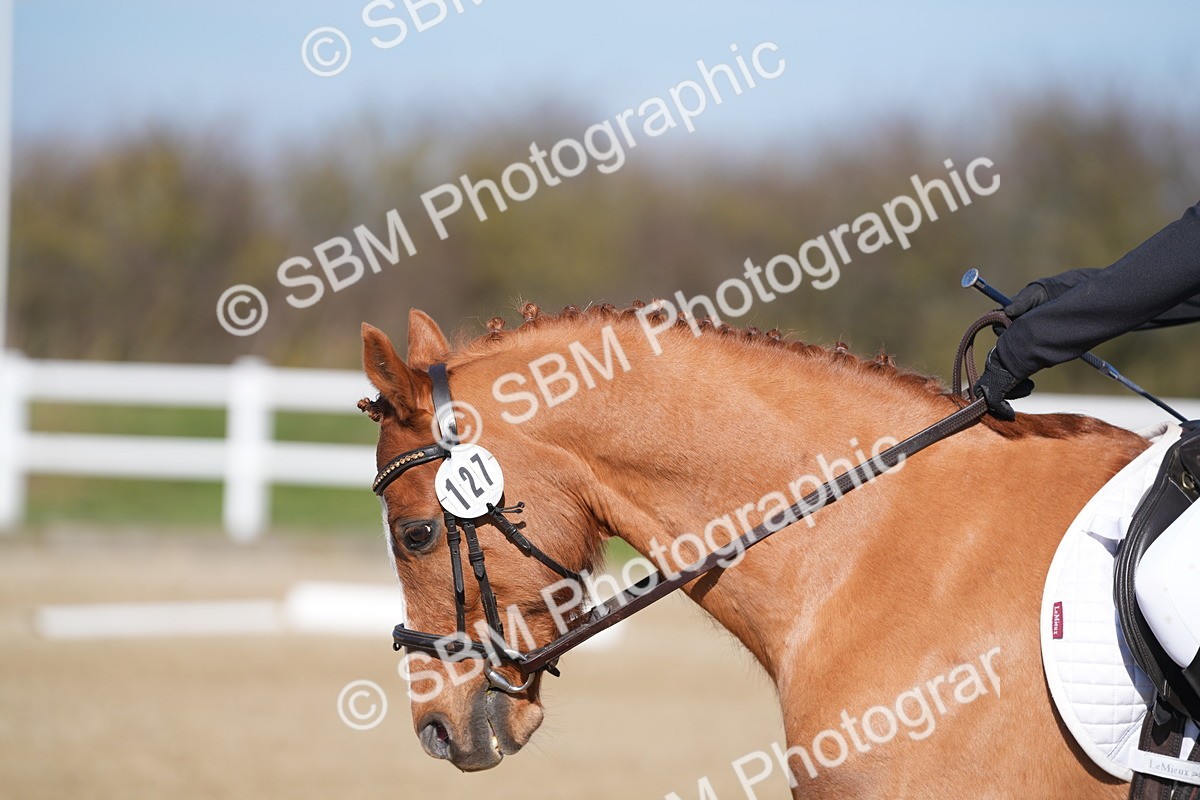 SBM_001983 - Class 3 - P1