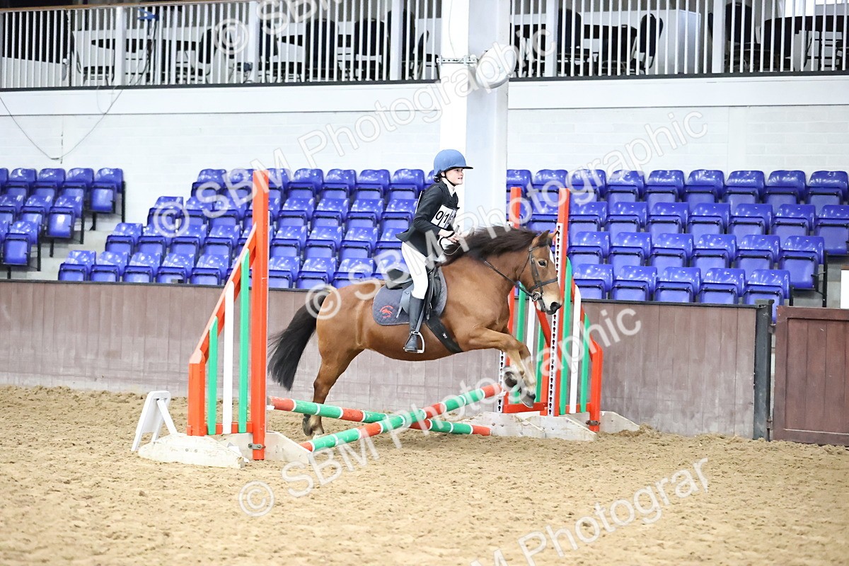 SBM_000156 - Class 2 - The Rug Lady 40cm Area 12 Championship Qualifier