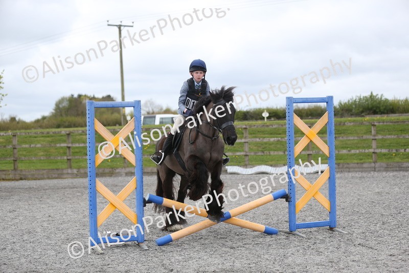 20260412-0599 - Show Jumping