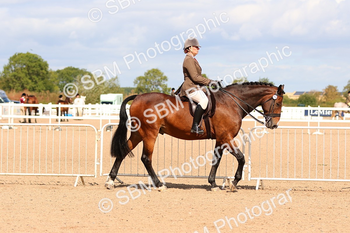 SBM_13454 - Class 212 - Ridden Hunter  - Large