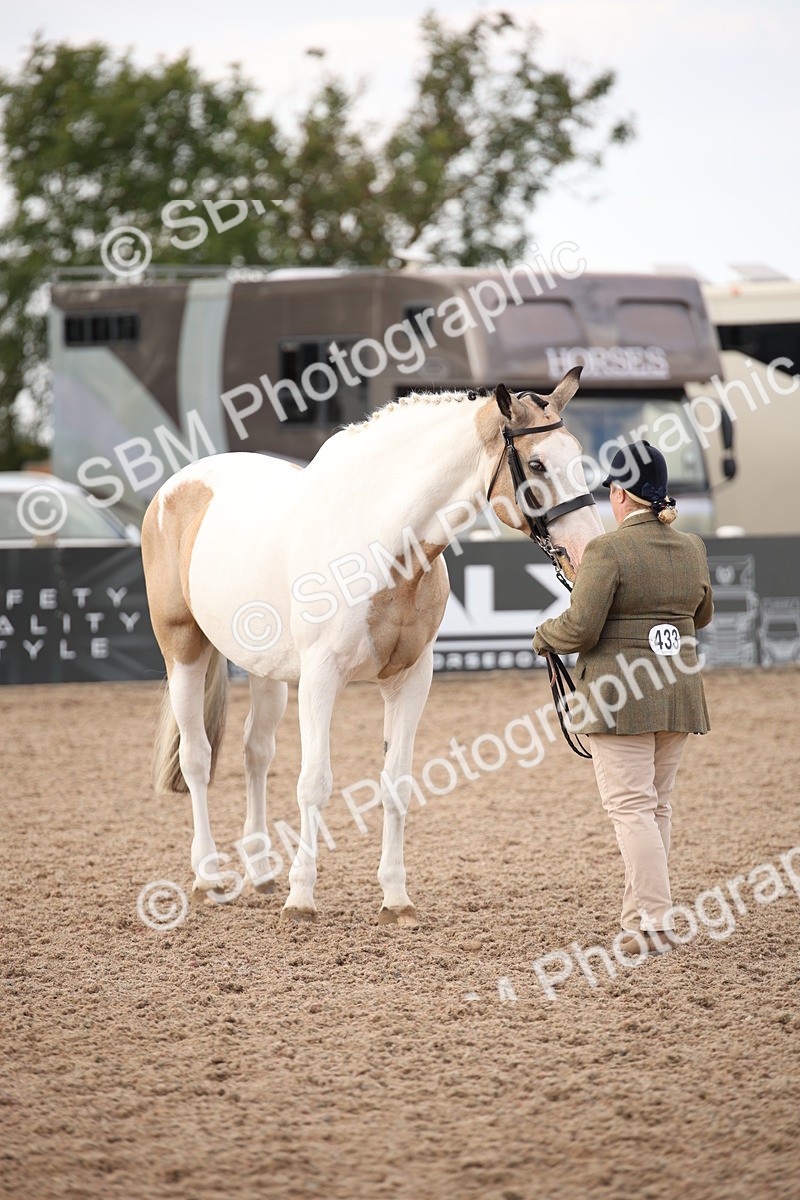 SBM_08215 - Class 27 - IH Competition Horse-Pony