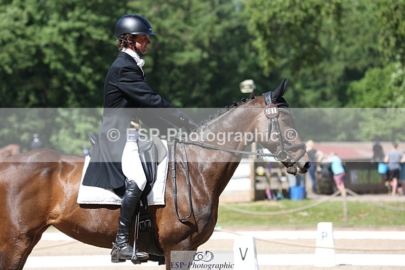 230526-102917-05269 - 361-FINCH_FANCY-Ben_Lee_Liles-WEDTrotUp+DR