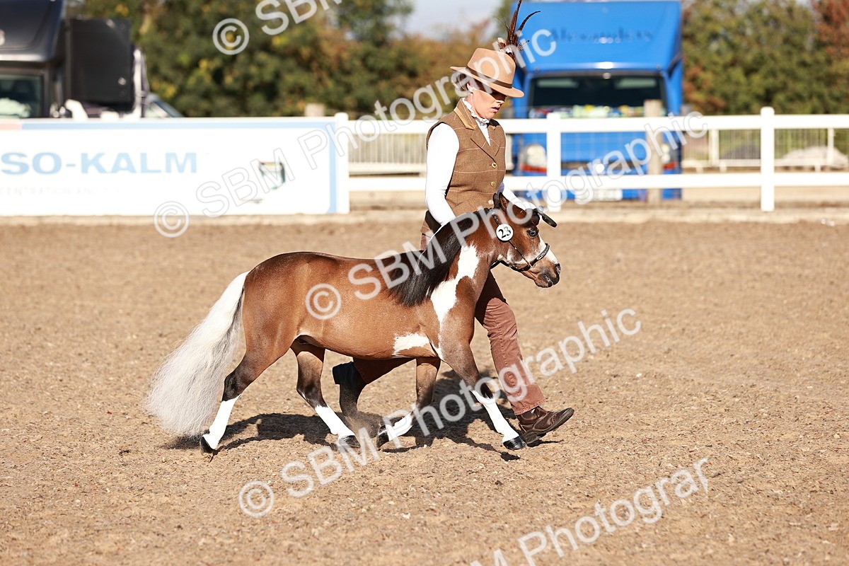 SBM_11391 - Class 402 - IH  Veteran pony