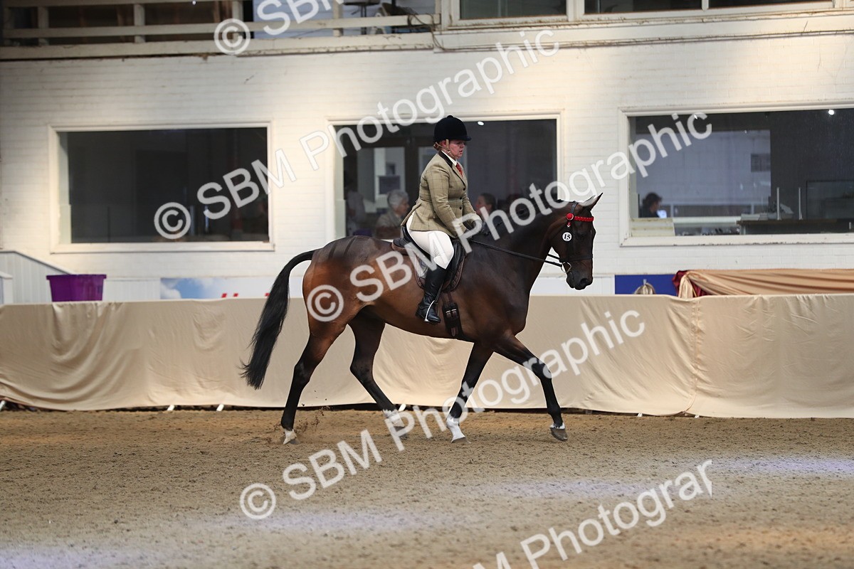 SBM_12384 - Class 108 Ridden Retired Racehorse- Pre Judging